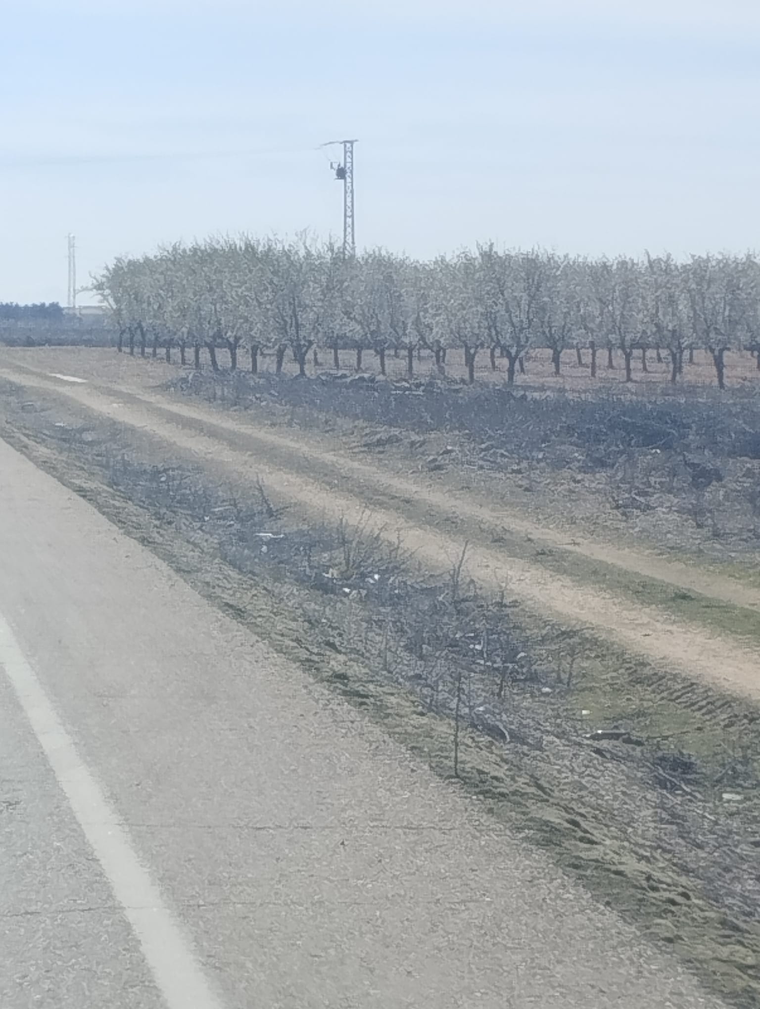 Estado antes de Limpiando Caminos - Camino rural deteriorado 1